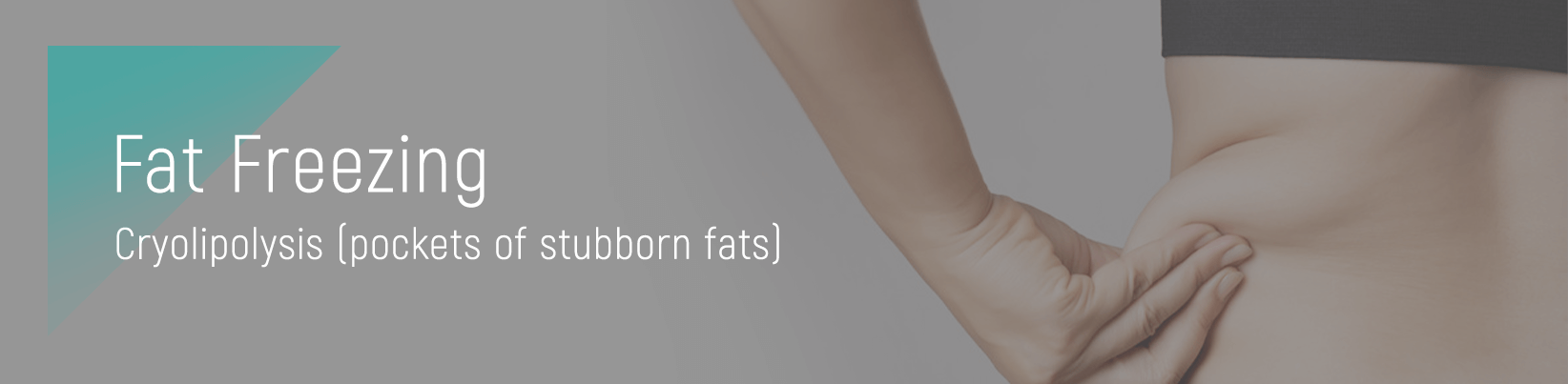 fatfreezing-banner